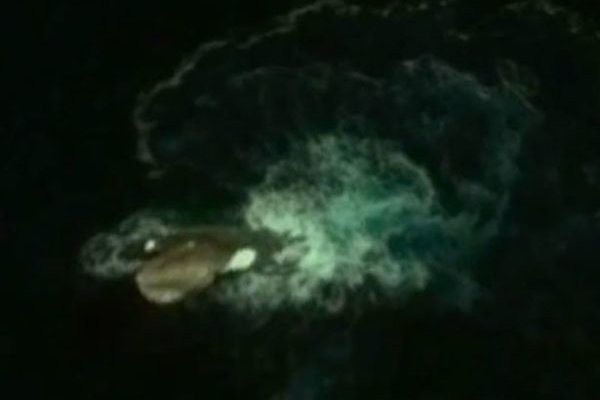 Kraken даркнет маркет