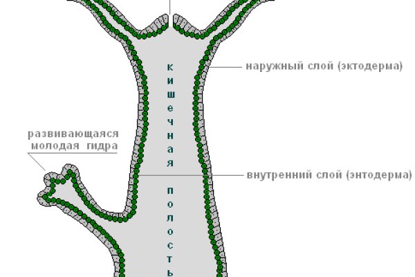 Тор для кракена