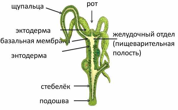 Как вернуть аккаунт кракен